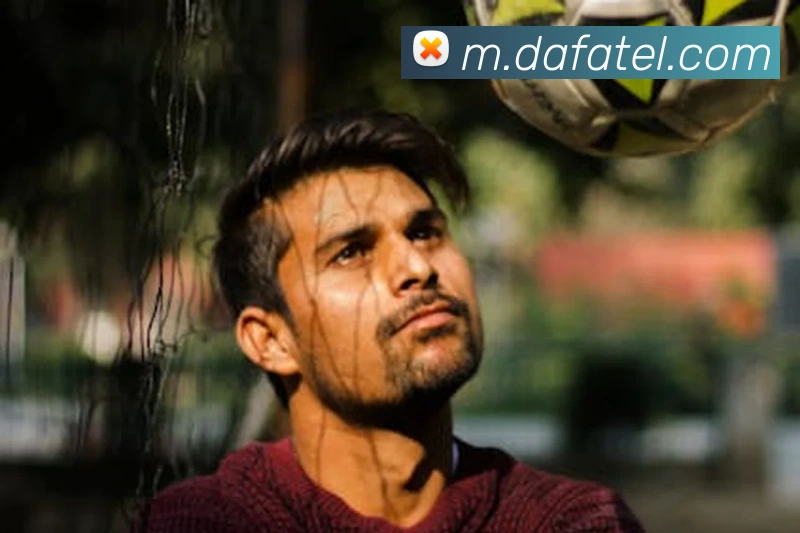 大发官网平台生态图